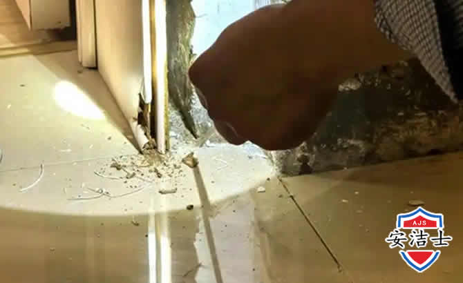 西湖区房屋建筑防治白蚁