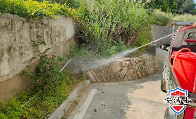 西湖区道路堤坝白蚁防治