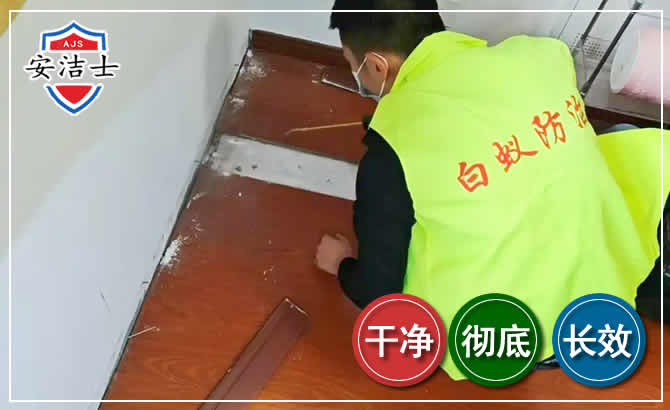 西湖区除四害现场