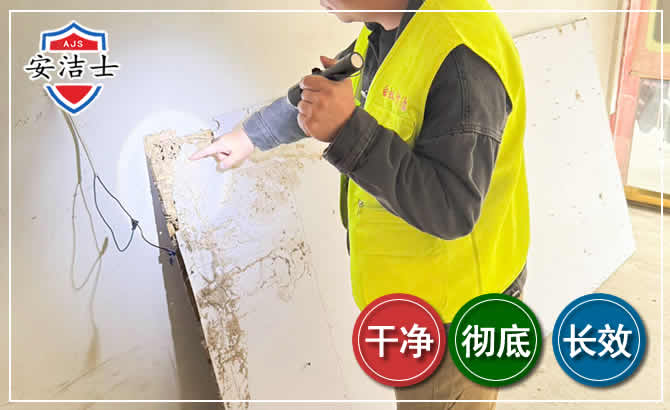 西湖区除白蚁现场