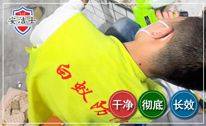 西湖区白蚁根治现场